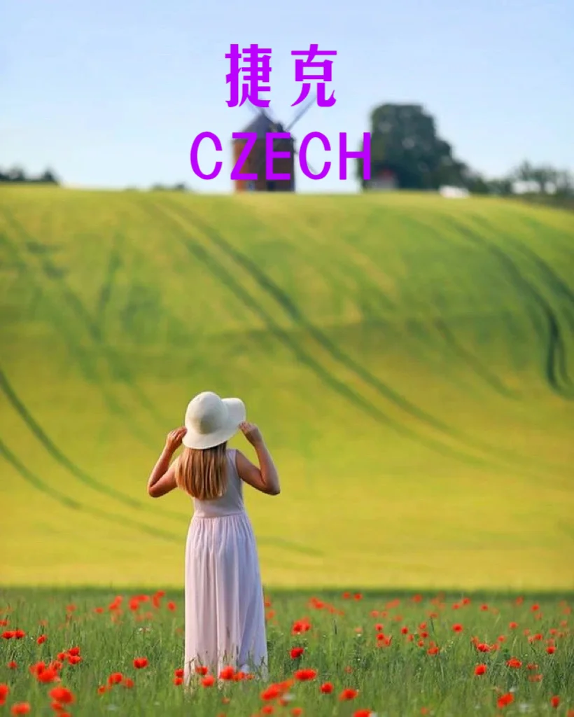 捷克实力惊艳：无往不胜势不可挡